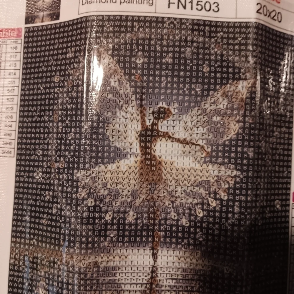 Diamond Painting Kit with Beads 20x20